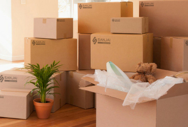 Tiger Cargo Packers and Movers Ahmedabad