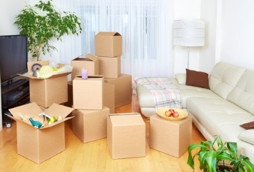 Tiger Cargo Packers and Movers Ahmedabad